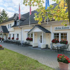 Gruene Tanne Hamburg-Harburg